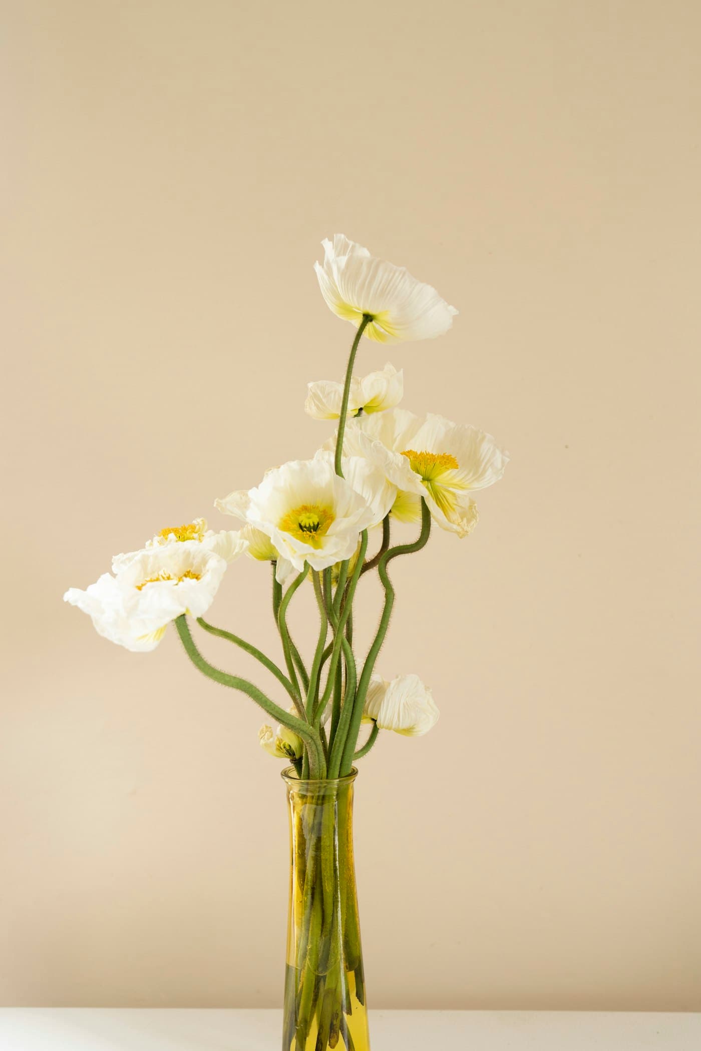 Fleurs blanches dans un vase en verre transparent